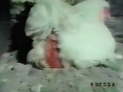 Outdoor bestiality porn