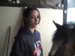 Pony animal sex