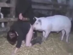 Zoo Porn Videos - Animal Sex Clips & Zofilia