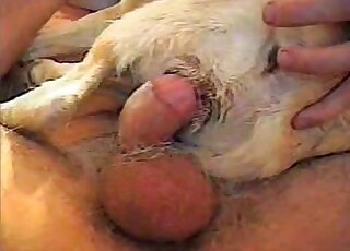 Kinky dude fucks a red doggie and cums inside of it