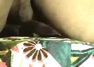 Dude with a big ass is showing how to fuck dogs in missionary