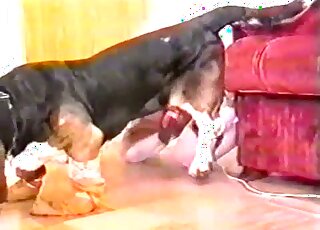 Tiny animal slides in lady’s pussy as they fuck in mish on the floor