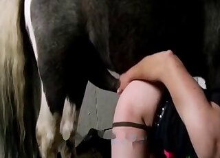 Long-haired zoophile lady wants to get screwed by a hung horse