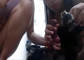 Women with no morals enjoying hardcore banging with a black beast