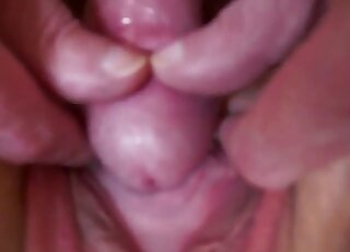 Closeup homemade dog porn and cumshots on the babe's tits