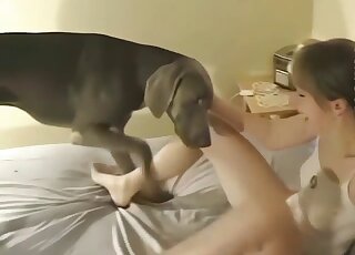 Sexy babe shares homemade zoo cam porn with her horny dog