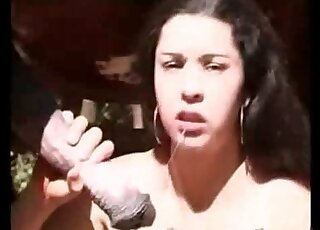 Massive horse stuffs its thick shaft inside tight twat of a horny bitch