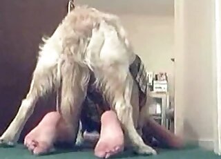 White fluffy dog passionately bangs wet twat of a horny babe