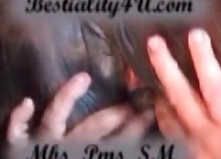 Greedily licking a mare's pussy before plunging into it elbow-deep