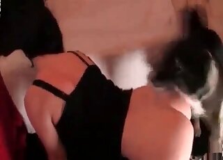 Shy bimbo puts on a mask for a homemade zoo porn video with her dog