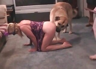 Massive dog finds soaking pussy of a blonde mature perfect for fucking