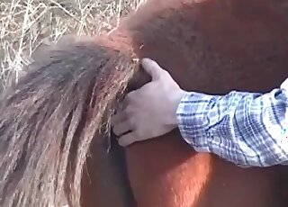 Horse never expected the stableman would fuck it like insane