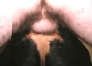 Dude finds his female dog’s hole perfect for a deep penetration