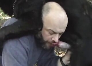 Nasty doggystyle action outdoors with a very hung black doggo